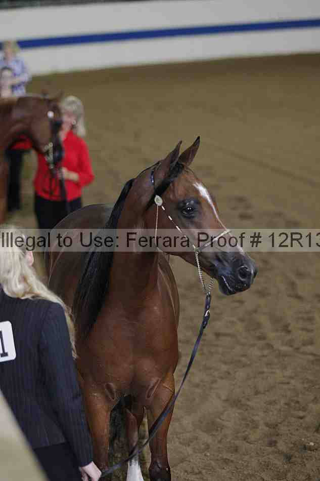 Proof 12r13_1353