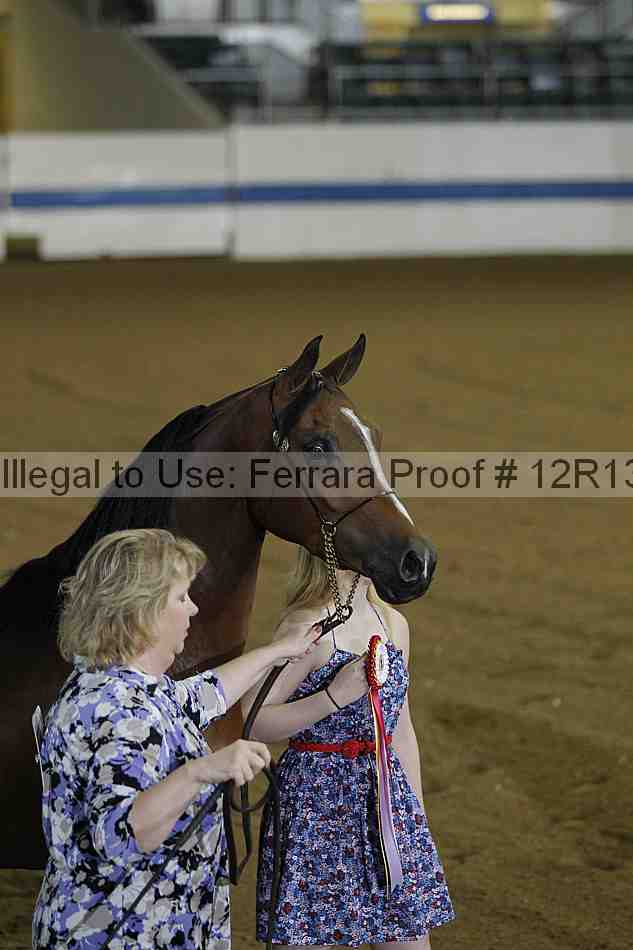 Proof 12r13_1365