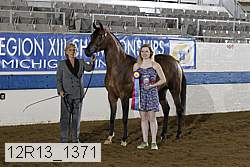 12r13_1371 proof
