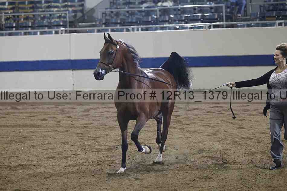 Proof 12r13_1379