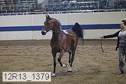 12r13_1379 proof