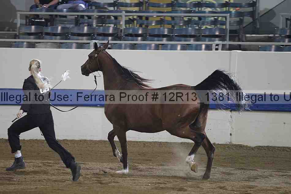 Proof 12r13_1381