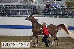 12r13_1382 proof
