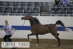 12r13_1383 proof