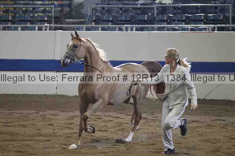 Proof 12r13_1384