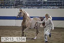 12r13_1384 proof