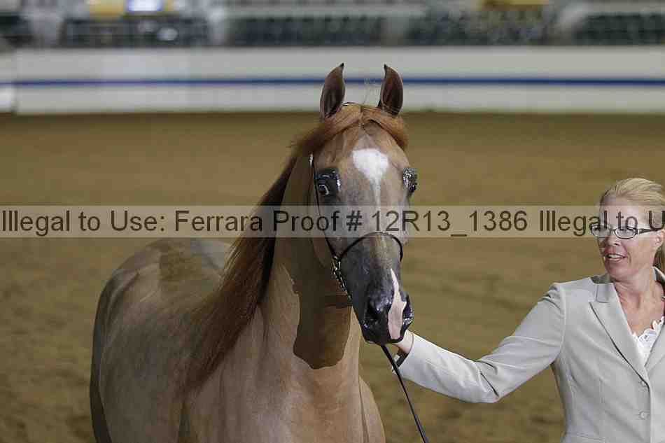 Proof 12r13_1386