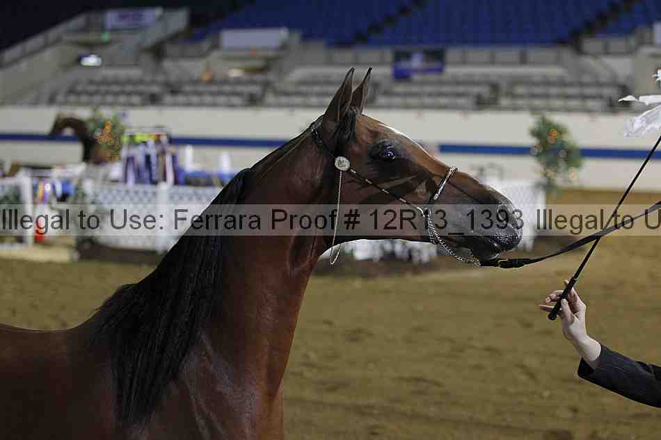 Proof 12r13_1393
