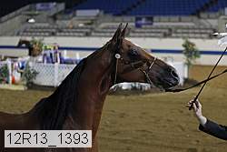 12r13_1393 proof