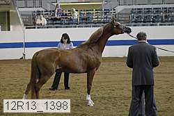 12r13_1398 proof