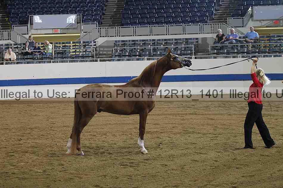 Proof 12r13_1401