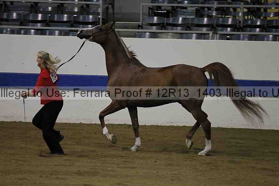 Proof 12r13_1403