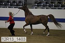 12r13_1403 proof