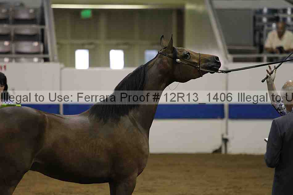 Proof 12r13_1406