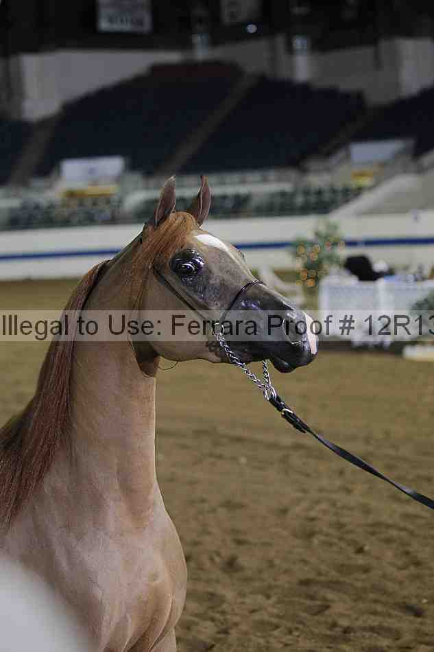 Proof 12r13_1409
