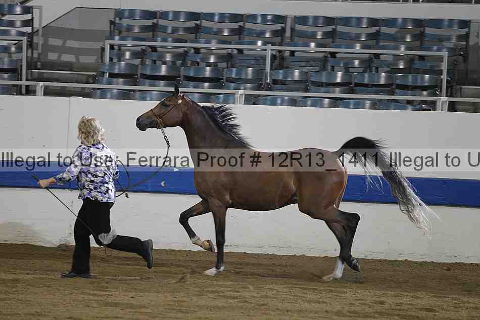 Proof 12r13_1411