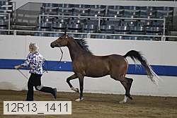 12r13_1411 proof
