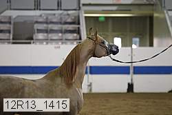 12r13_1415 proof
