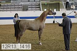 12r13_1416 proof