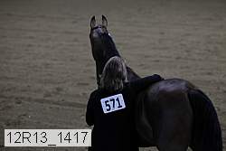 12r13_1417 proof