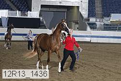 12r13_1436 proof