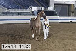 12r13_1438 proof