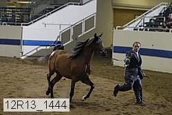 12r13_1444 proof