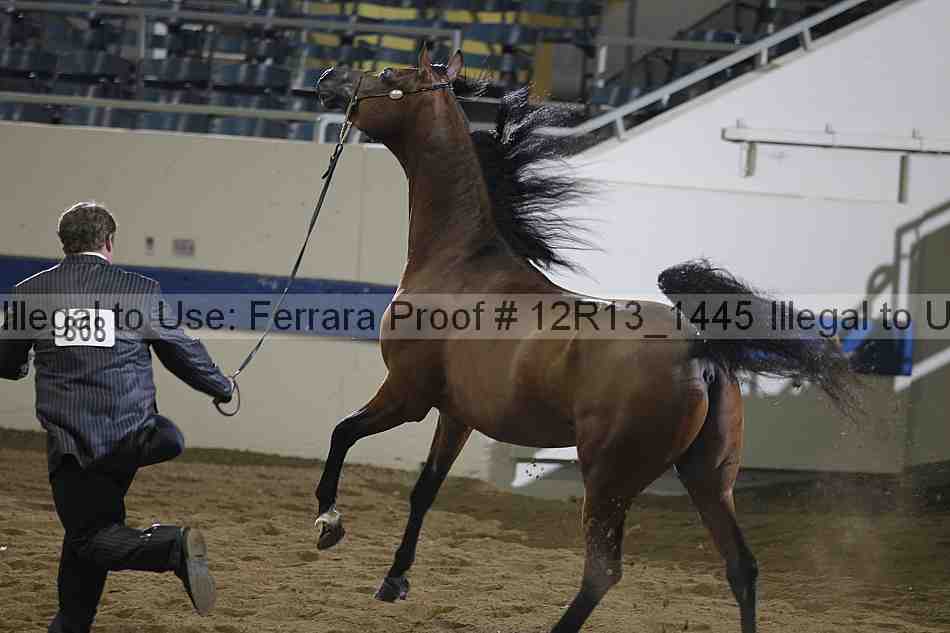 Proof 12r13_1445