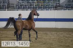 12r13_1450 proof