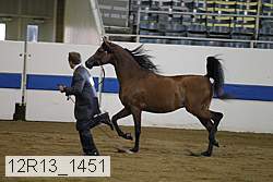 12r13_1451 proof