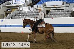 12r13_1463 proof