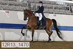 12r13_1470 proof