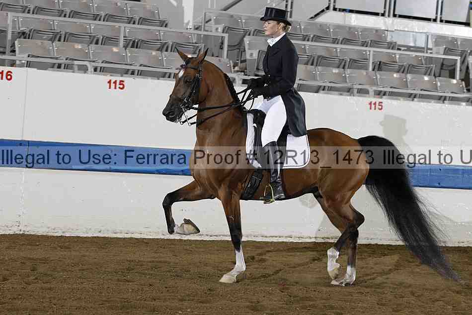 Proof 12r13_1473