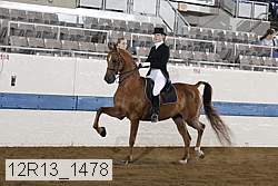 12r13_1478 proof