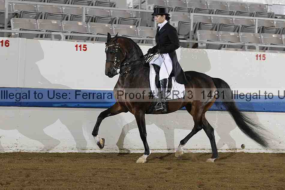 Proof 12r13_1481