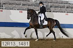 12r13_1481 proof