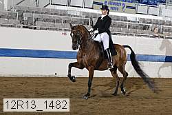 12r13_1482 proof
