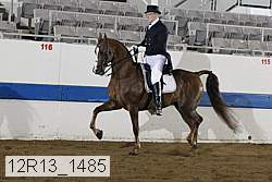 12r13_1485 proof