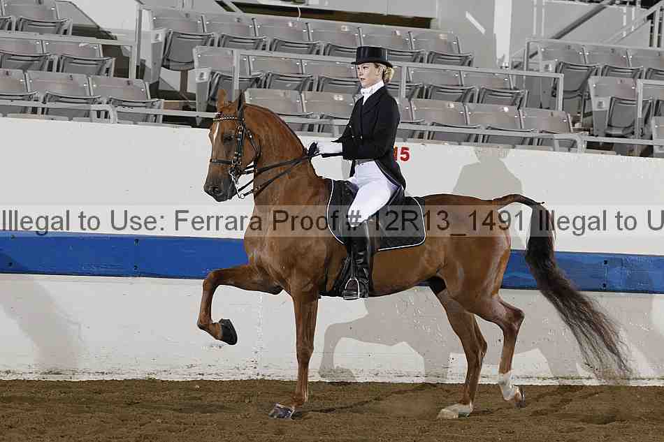 Proof 12r13_1491