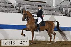 12r13_1491 proof