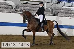 12r13_1493 proof