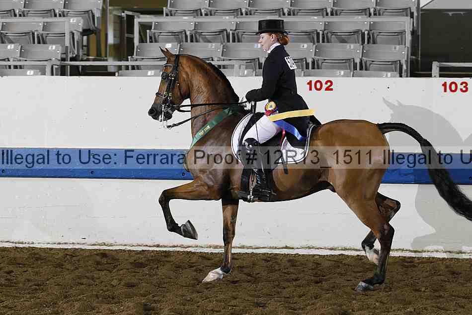 Proof 12r13_1511