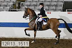 12r13_1511 proof
