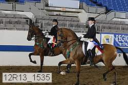 12r13_1535 proof