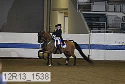 12r13_1538 proof