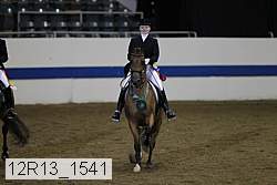 12r13_1541 proof