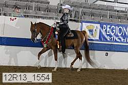 12r13_1554 proof