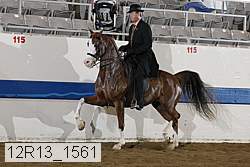 12r13_1561 proof