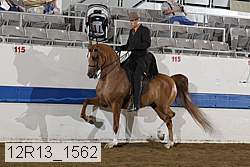 12r13_1562 proof