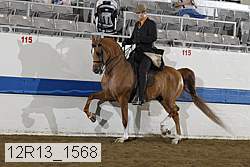 12r13_1568 proof